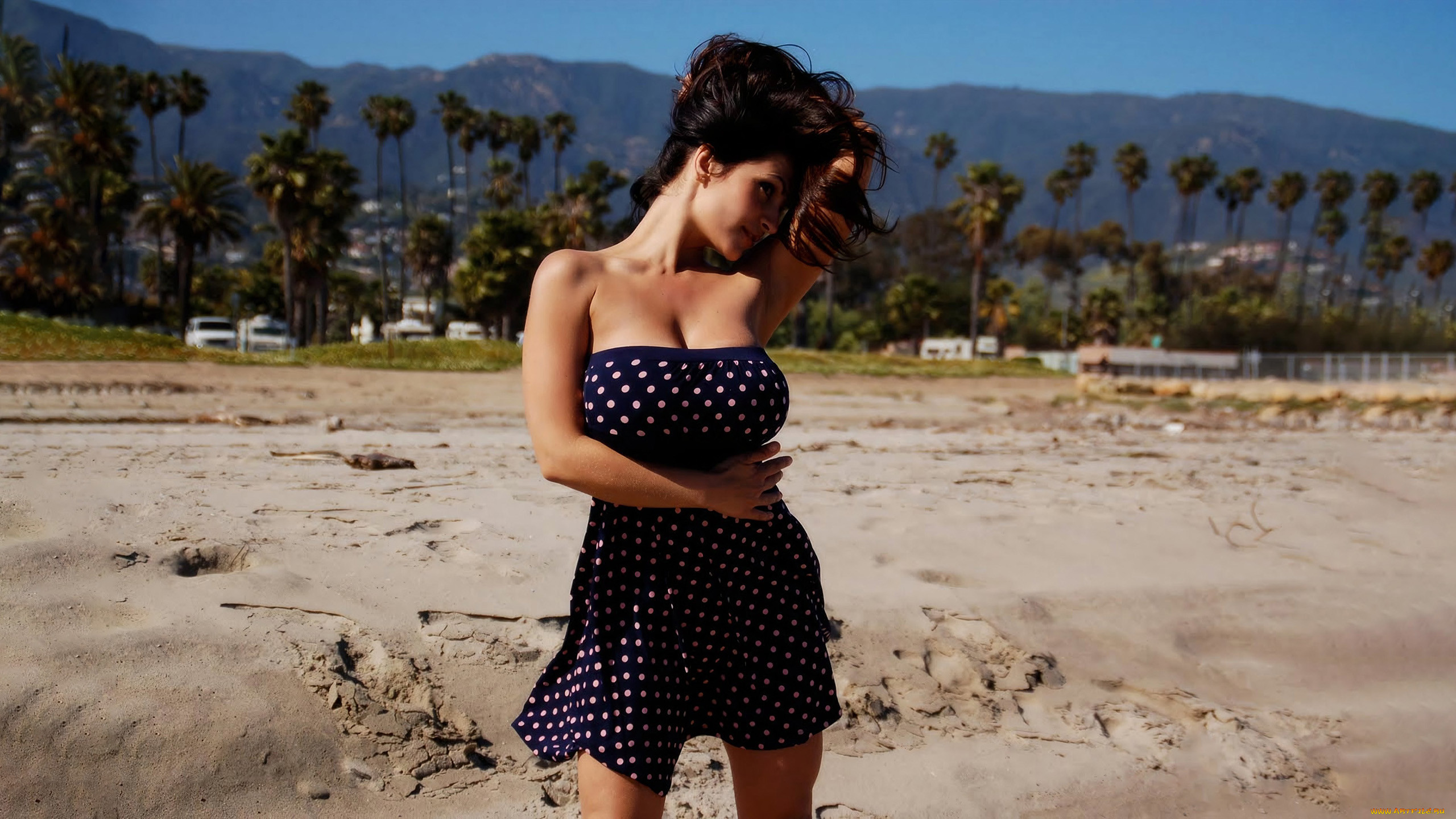 , denise milani, denise, milani